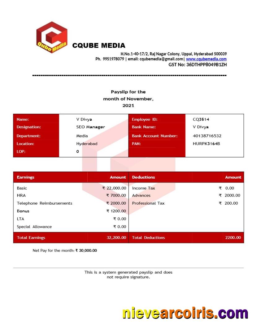 Cqube Media payslip